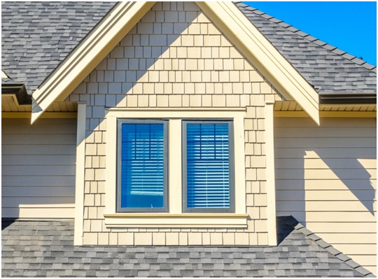 Windows: The New Arrivals